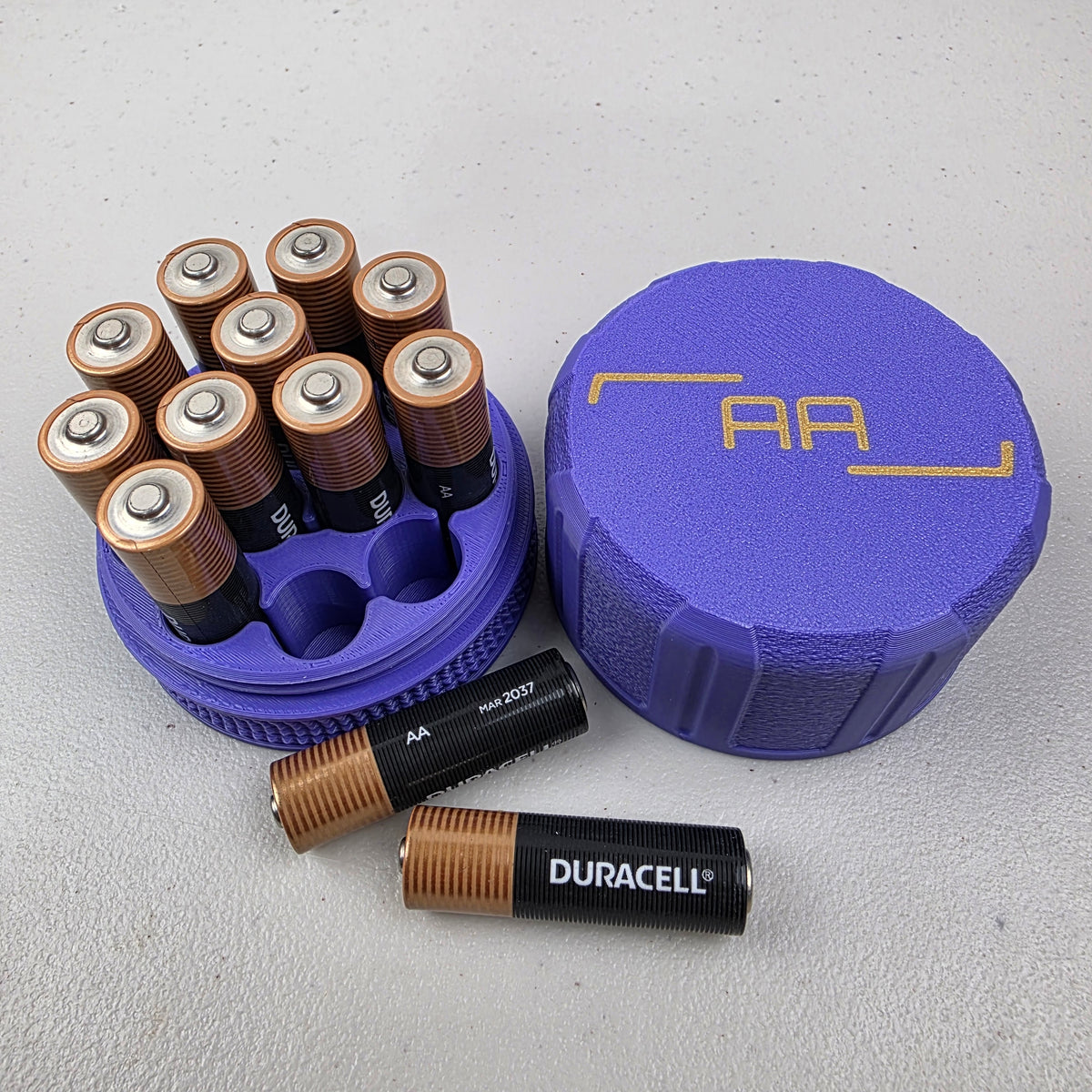 AA Battery Storage Case Container