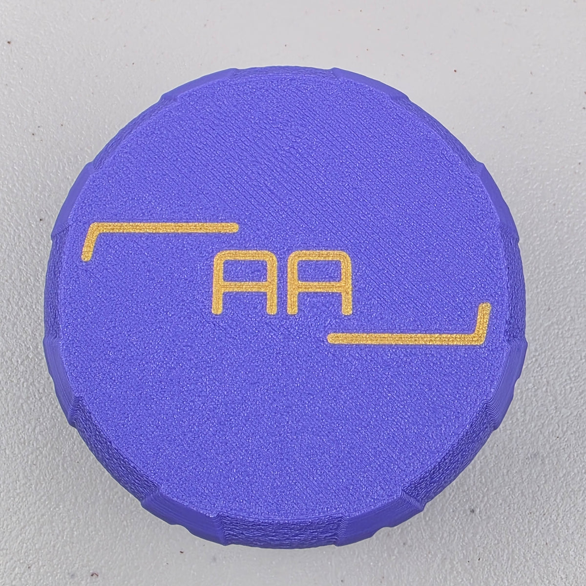 AA Battery Storage Case Container
